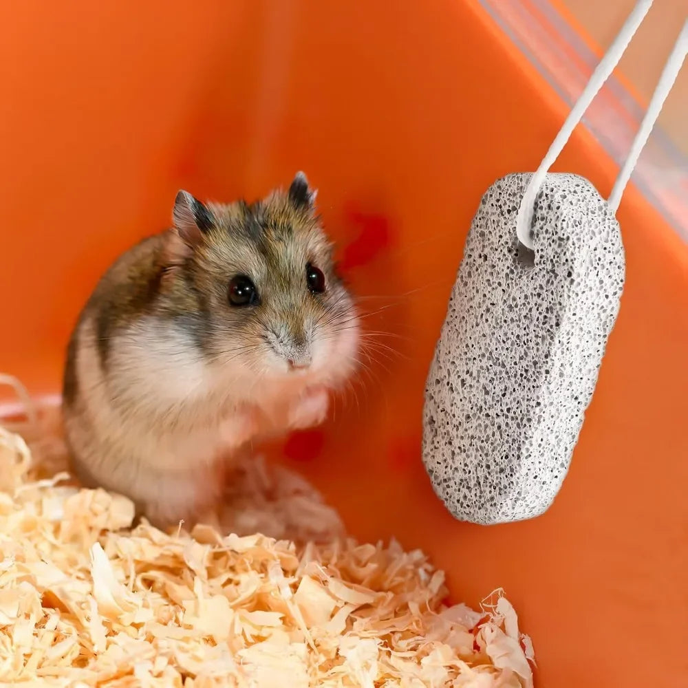 2/4/6PCS Teeth Molar Stone Natural Mineral Rabbit Guinea Pig Hamster Teeth Grinding Stone Small Pet Care Chew Toys Pets 2025