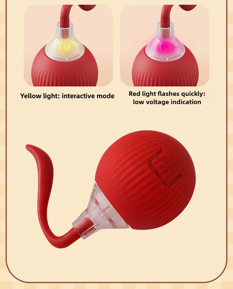 Cat Toys Interactive Ball Electronic Automatic Rolling Magic Ball