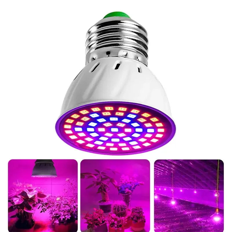 220V E27 300LEDs Plant Grow Light Full Spectrum Bulb