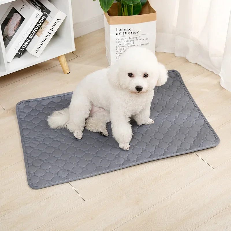 Reusable Absorbent Dog Pee Pad Blanket Washable Puppy Training Mat Comfortable Pet Bed Urine Mat for Car Seat and Home Use