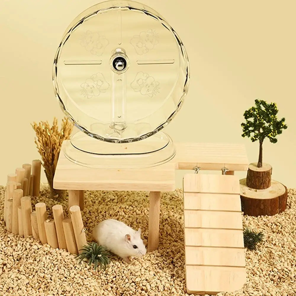 Hamster Running Sport Transparent Running Wheel Support Toy Small Pet Roller Bearing Silent Running Wheel Pets Accessories