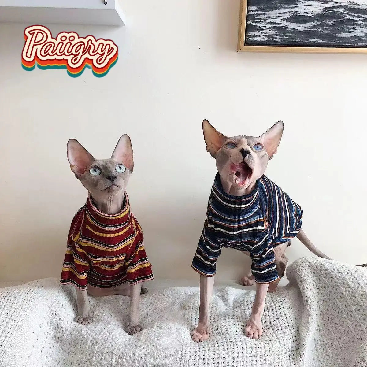 High cold retro style cat pet T-shirt, trendy fashion short sleeve, hairless cat must-have, summer pet clothing