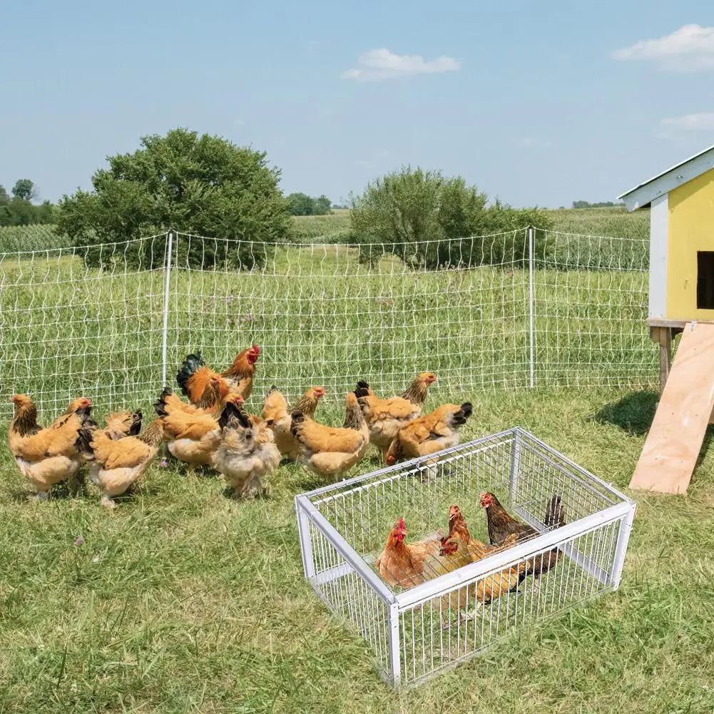 Auto Trap Bird Cage Rabbit Cage Mouse Cage Entry Only No Exit Thickened Encrypted Automatic Pigeon Collecting Portable Bird Cage