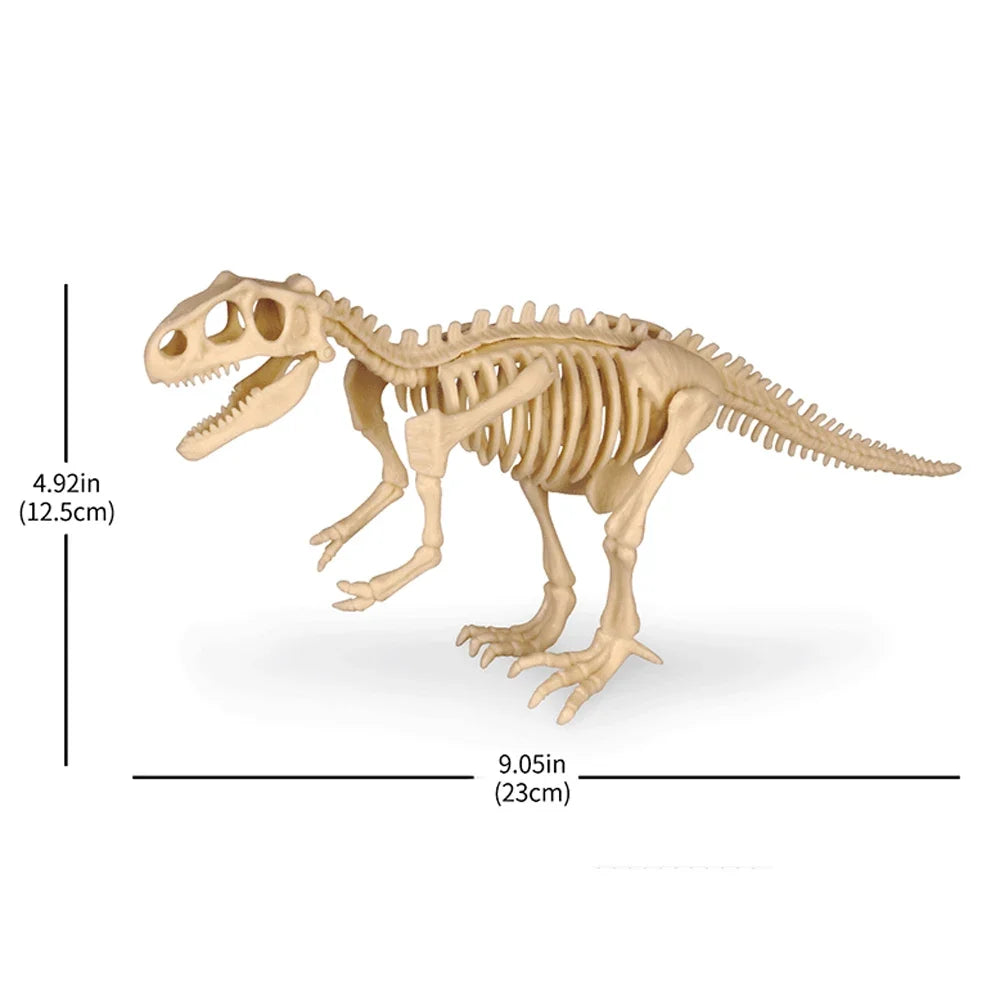 Dinosaur Fossil Excavation Kit for Kids Educational Archaeological Digging Adventure with Realistic Skeleton Models Perfect Gift for Boys and Girls