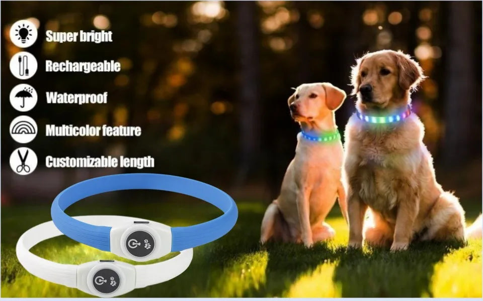LED Luminous Dog Collar Waterproof USB Rechargeable Safety Light for Medium Large Small Dogs