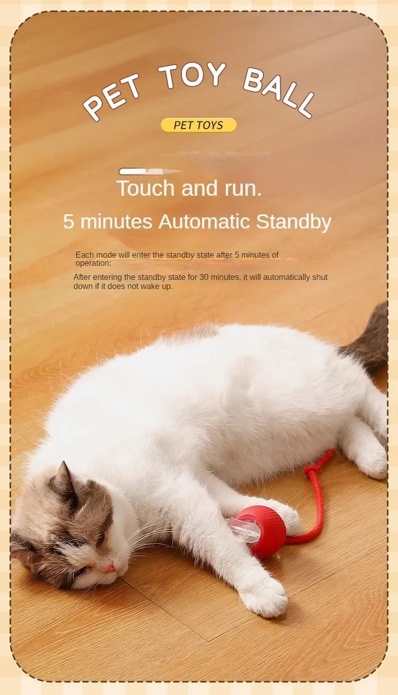 Cat Toys Interactive Ball Electronic Automatic Rolling Magic Ball