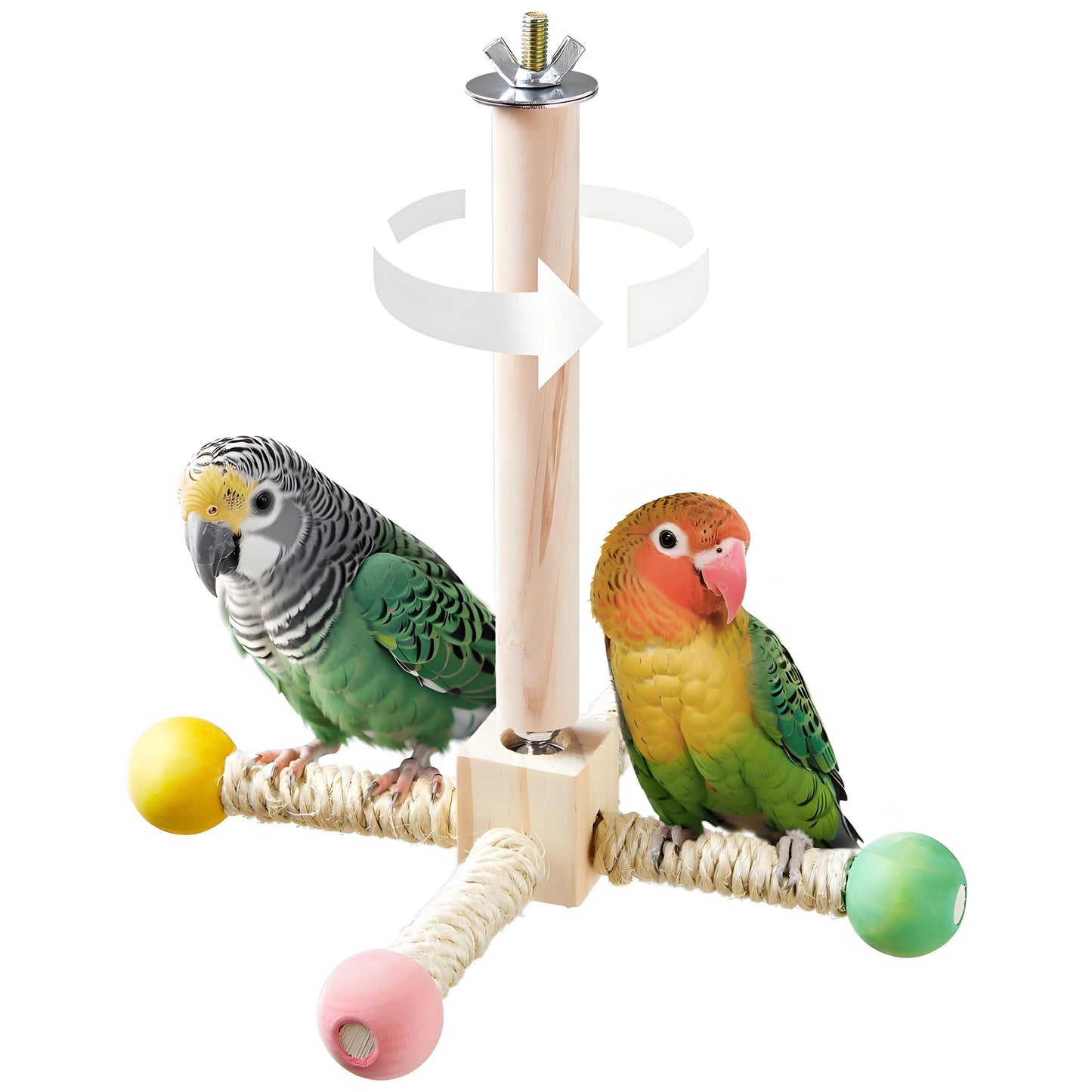 Natural Wood Bird Perch & Exercise Wheel Toy Set | Engaging Chewable Enrichment for Small Birds | Cage Accessories for Budgies P