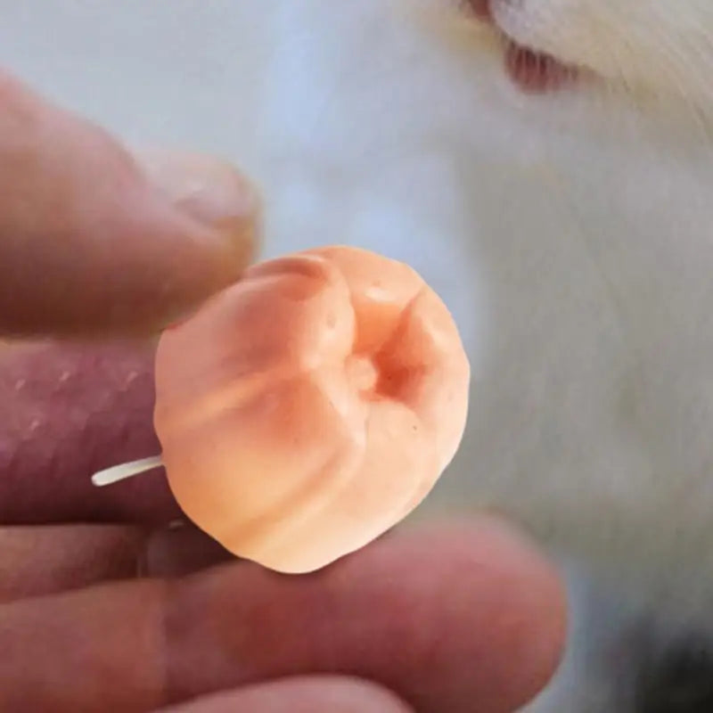 Hamster Pumice Mineral Treats Small Animal Mineral Calcium Stone 5PCS Bunny Teeth Grinding Stone For Chinchillas Rabbits Gerbil