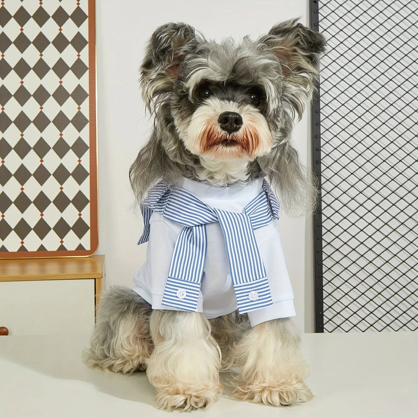 Summer Dog Clothes Casual Versatile Dog T-shirt Suitable for Small Medium Dogs Chihuahua French Bulldog Pet Shirt