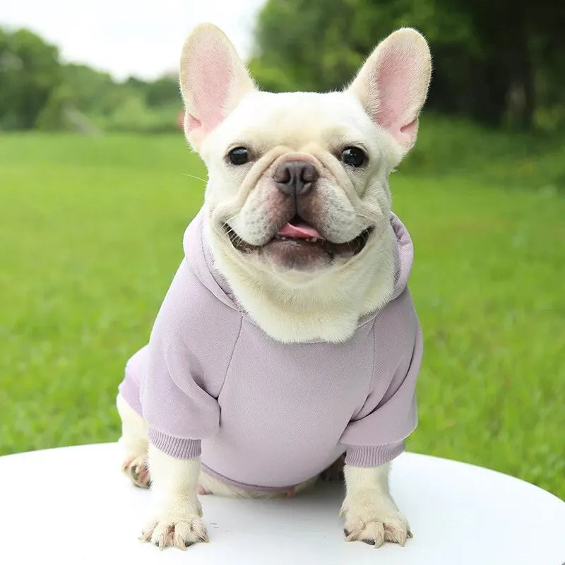 Fashion Dog Clothing Autumn Winter Thick Warm Hoodie Sweater