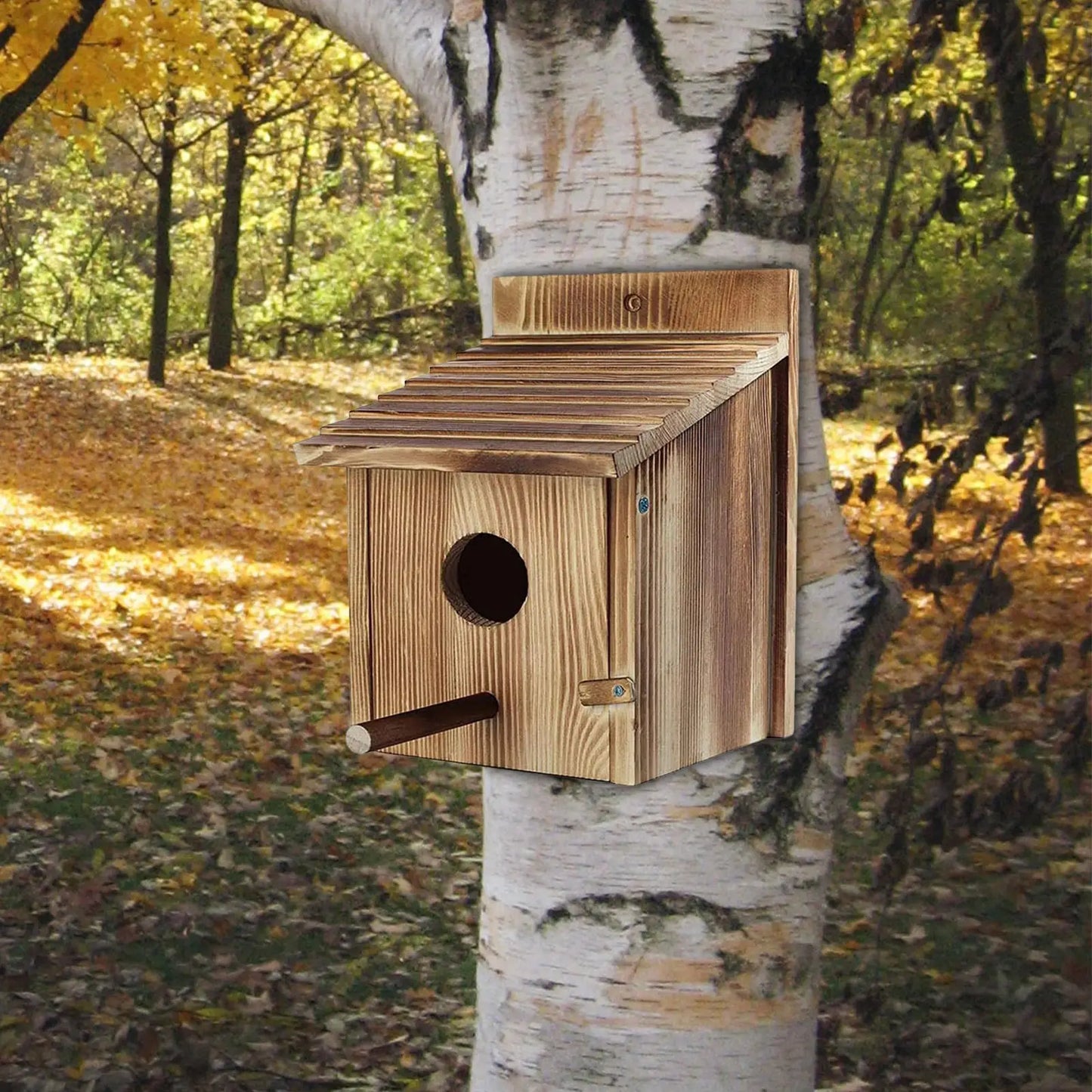 Bird House Bluebird House Wooden Bird Box for Kids Adults Window Small Birds