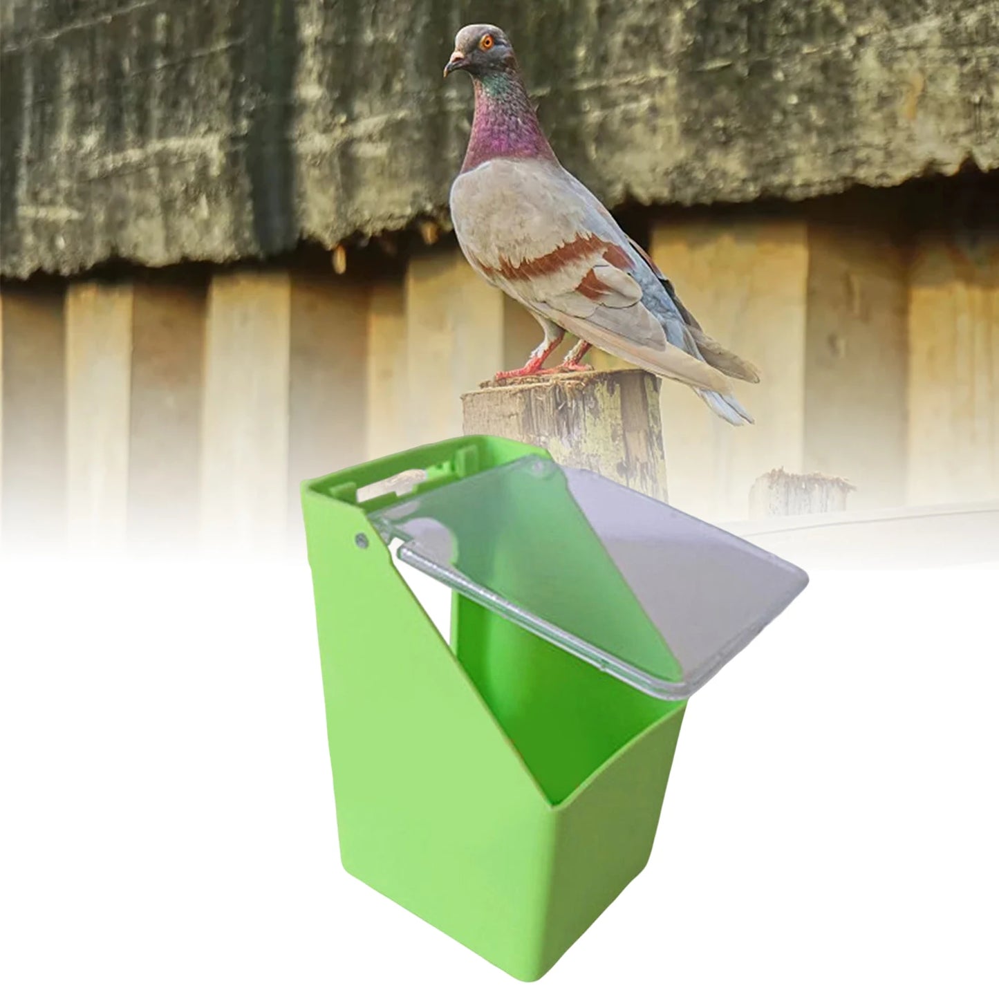 Plastic Birds Water Feeder Hanging Pigeon Food Dispenser Drinker Parrot Feeding Bowl Box for Bird Feeding Supplies