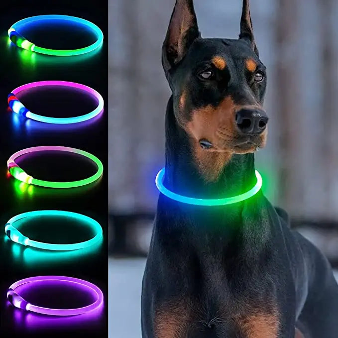 LED Luminous Dog Collar Waterproof USB Rechargeable Safety Light for Medium Large Small Dogs