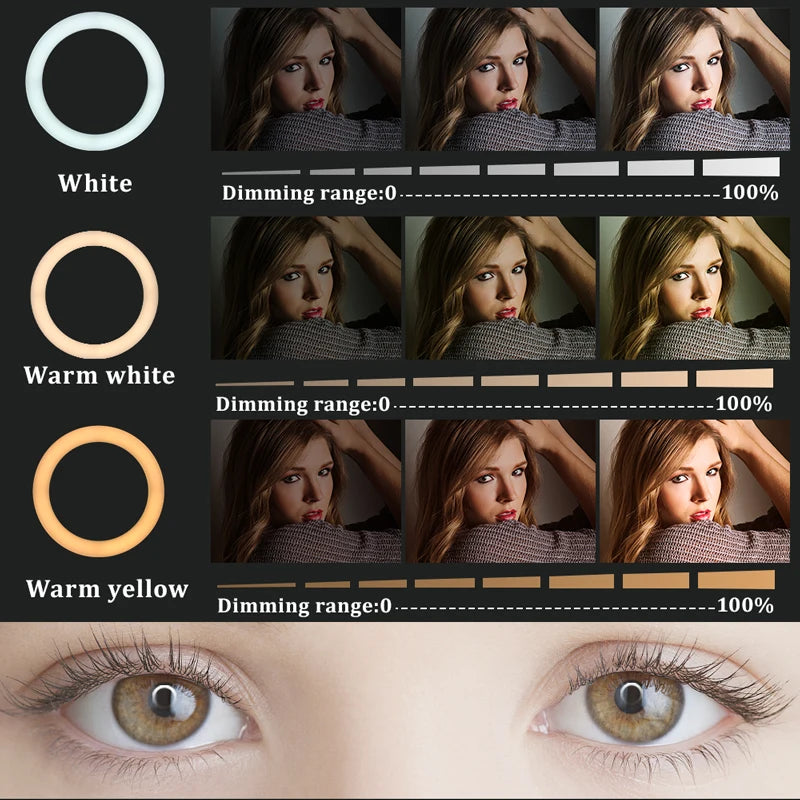 22 Inch LED Light Rings 3200-6500K Adjustable Brightness