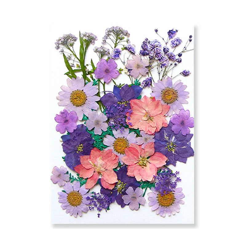 Dried Flowers Real Natural Plant Pressed Flower for Epoxy Resin DIY Keychain Pendant Jewelry Making