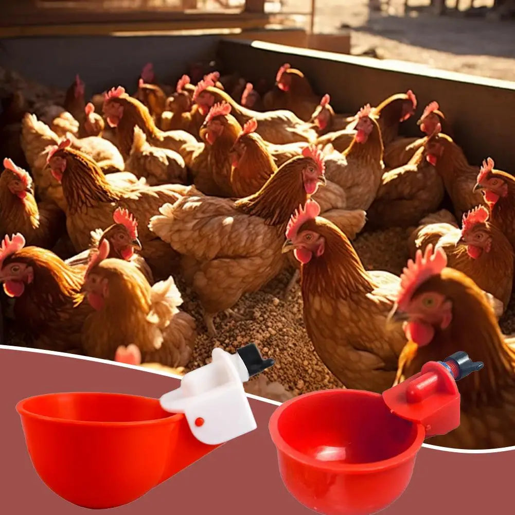 10 Pcs Automatic Poultry Drinking Bowl Chicken Waterer Cups Duck Drinking Machine Hanging Drinking Bowls Water Dispenser