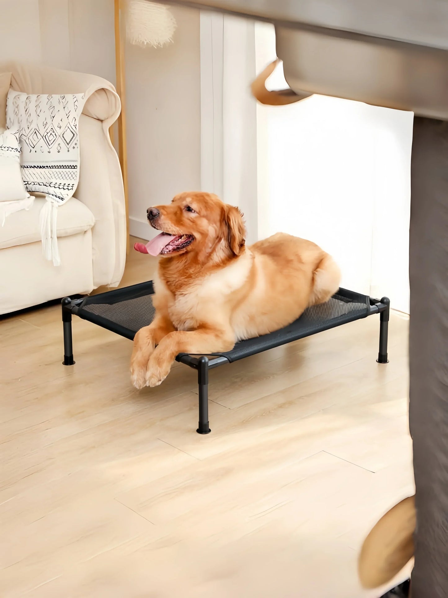 Elevated Pet Bed for Dogs and Cats Portable Folding Camping Bed Removable Washable Design for All Seasons Cozy Pet Kennel and Puppy Bed