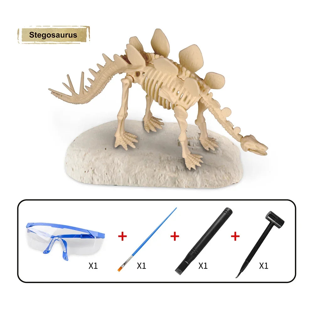 Dinosaur Fossil Excavation Kit for Kids Educational Archaeological Digging Adventure with Realistic Skeleton Models Perfect Gift for Boys and Girls