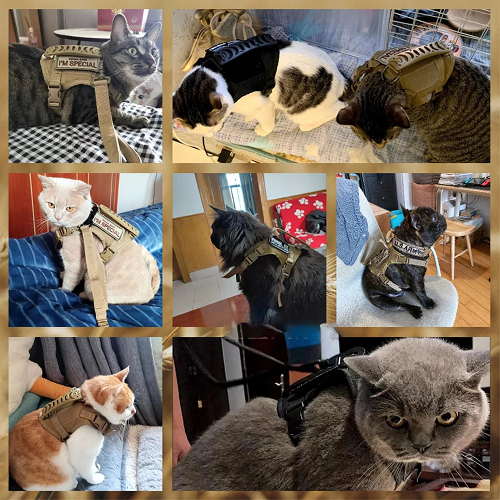 Tactical Cat Harness Leash with 2 Patches Small Dog Puppy Vest Straps with Handle Working Training Adjustable Pet Accessories