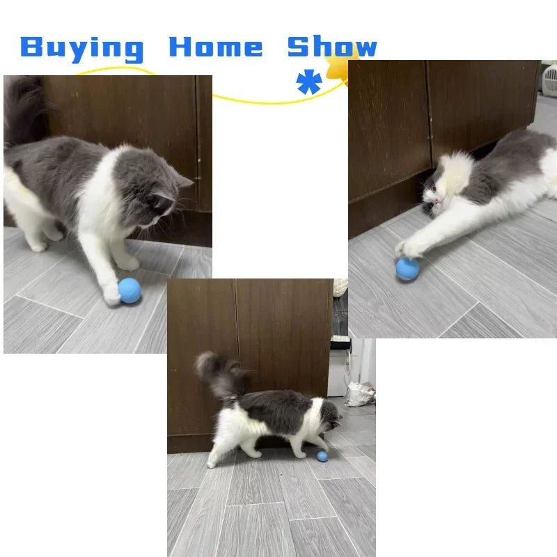 Cat Interactive Ball Smart Cat Toys For Indoor Fun