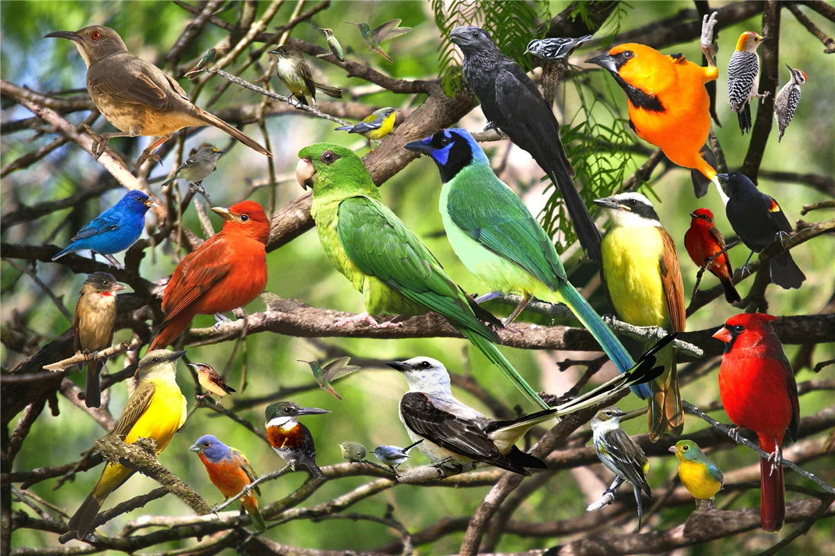 500 Pieces Jigsaw Puzzle Various Landscape Patterns Educational Toy for Kids Christmas Gift