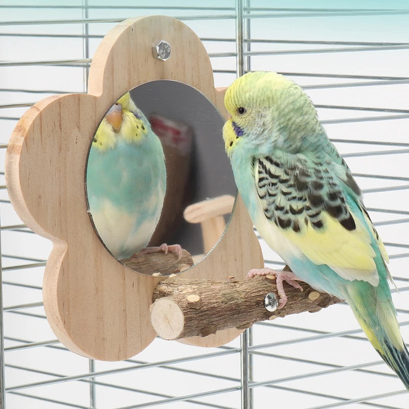 Wooden Bird Perch Natural Wood Bird Perch Stand with Mirror Parrots Platform Cage Accessories Branch Perch Rod Stand