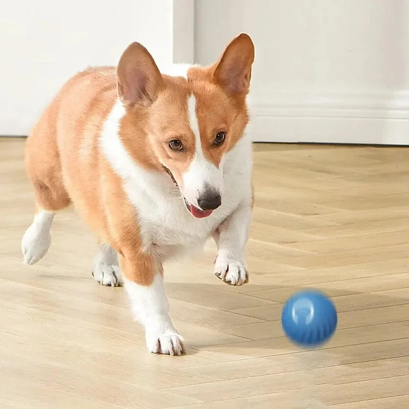 Smart Dog Toy Ball Electronic Interactive Pet Toy USB Moving Ball