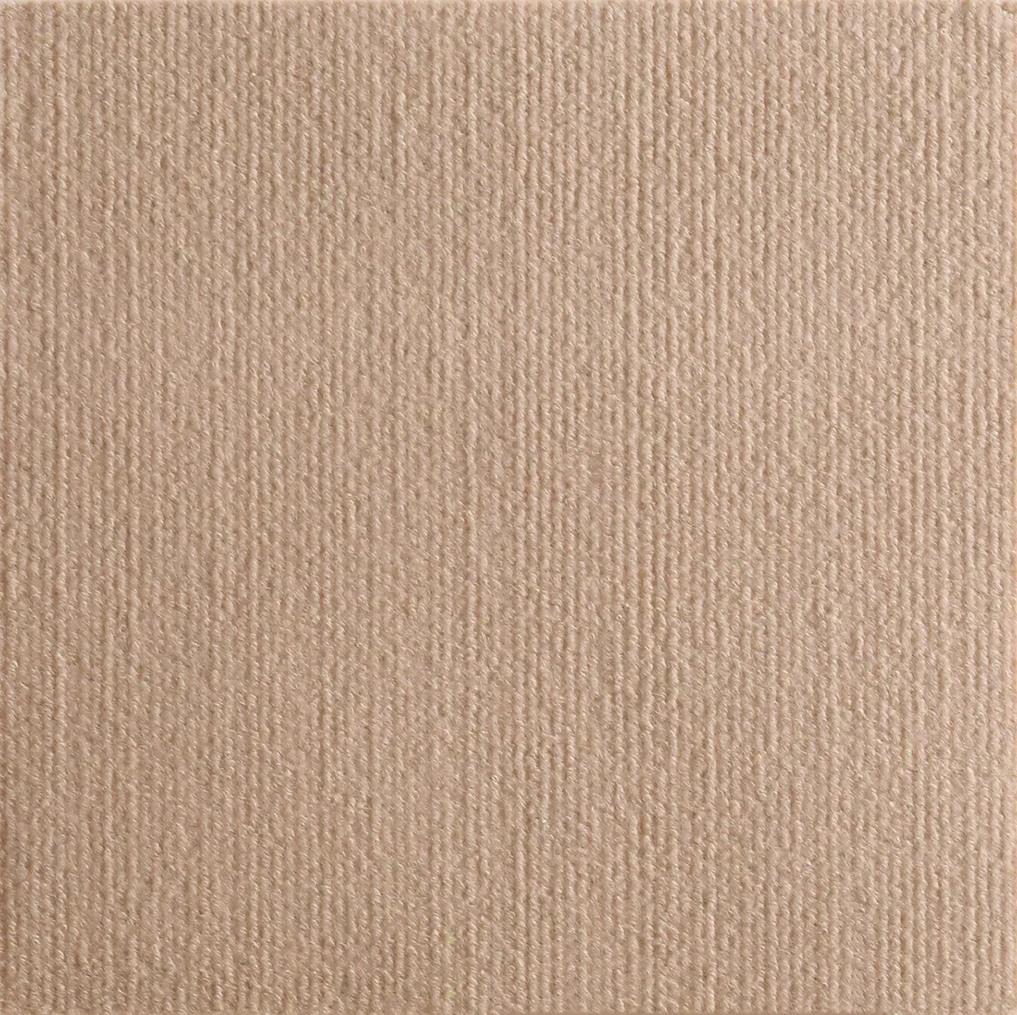 Self-Adhesive Cat Scratching Board Trimmable Cat Carpet Mat Anti Cat Scratcher Furniture Couch Corner Indoor Sofa Wall Protector