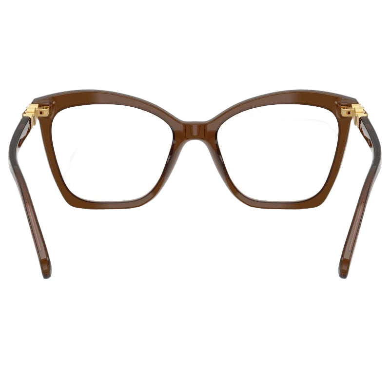 Swarovski Women's Cat-Eye Eyeglasses