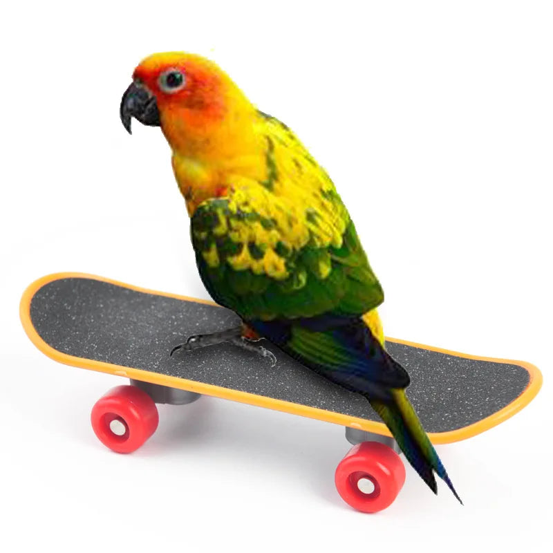 Bird Training Toys Funny Mini Skateboard Bell Ball Vine Balls Parrot Puzzle Toy Intellectual Development Bird Supplies