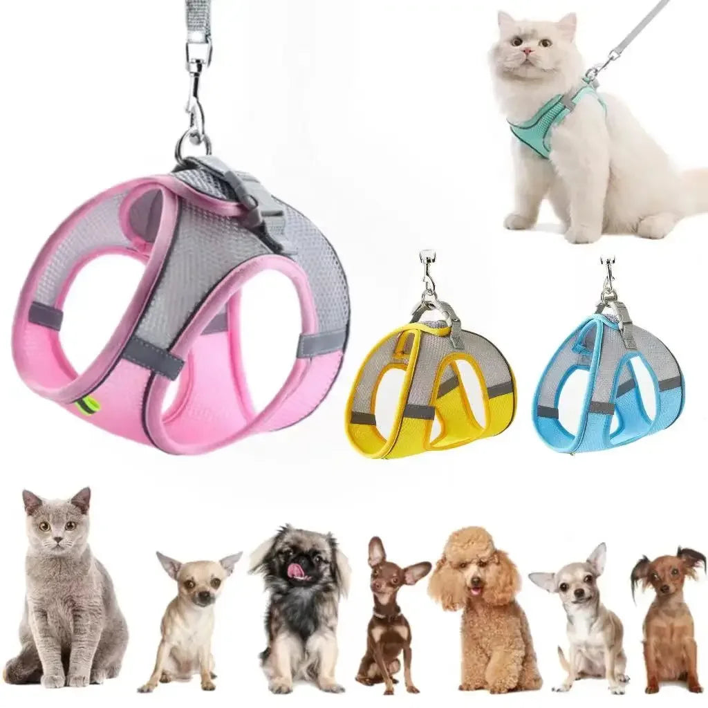 Cat Dog Harness Vest Chest Rope Set Reflective Breathable Adjustable Pet Harness for Small Dogs Pug Chihuahua Outdoor Walking