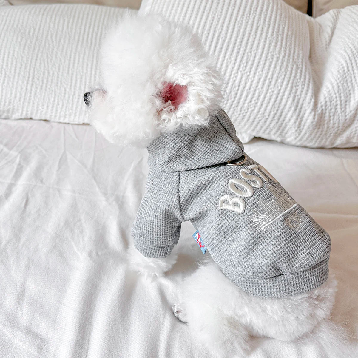 Pet Clothes Dog Cat Out Handsome Cute Casual Comfortable Spring Gray American Boston Sweater