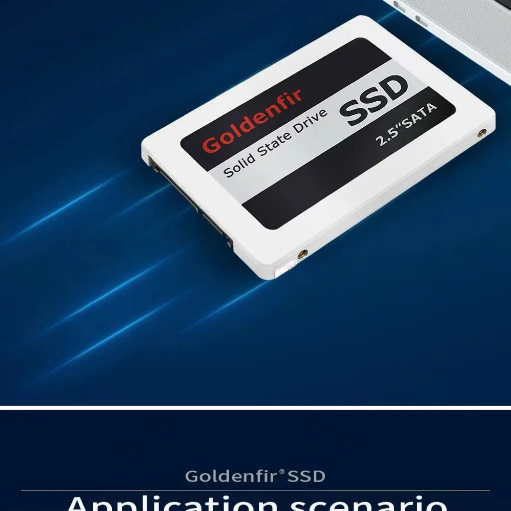 Goldenfir SSD 120GB 250GB 500GB 960GB 2.5 Internal Solid State Disk