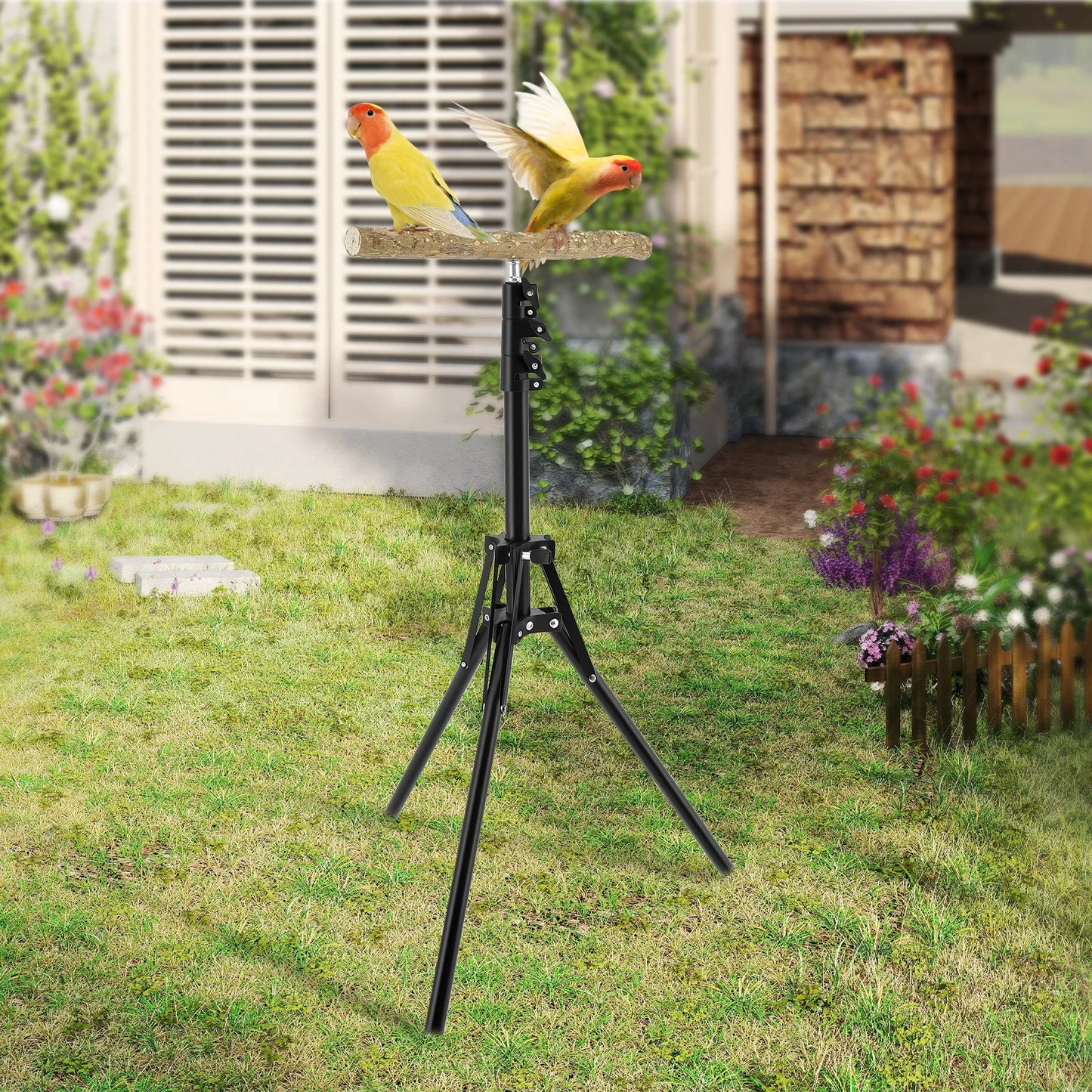 Wood Bird Branch Stand Height Adjustable Foldable Parrot Bird Training Perch Pet Bird Toy Portable Outdoor Perches Platform