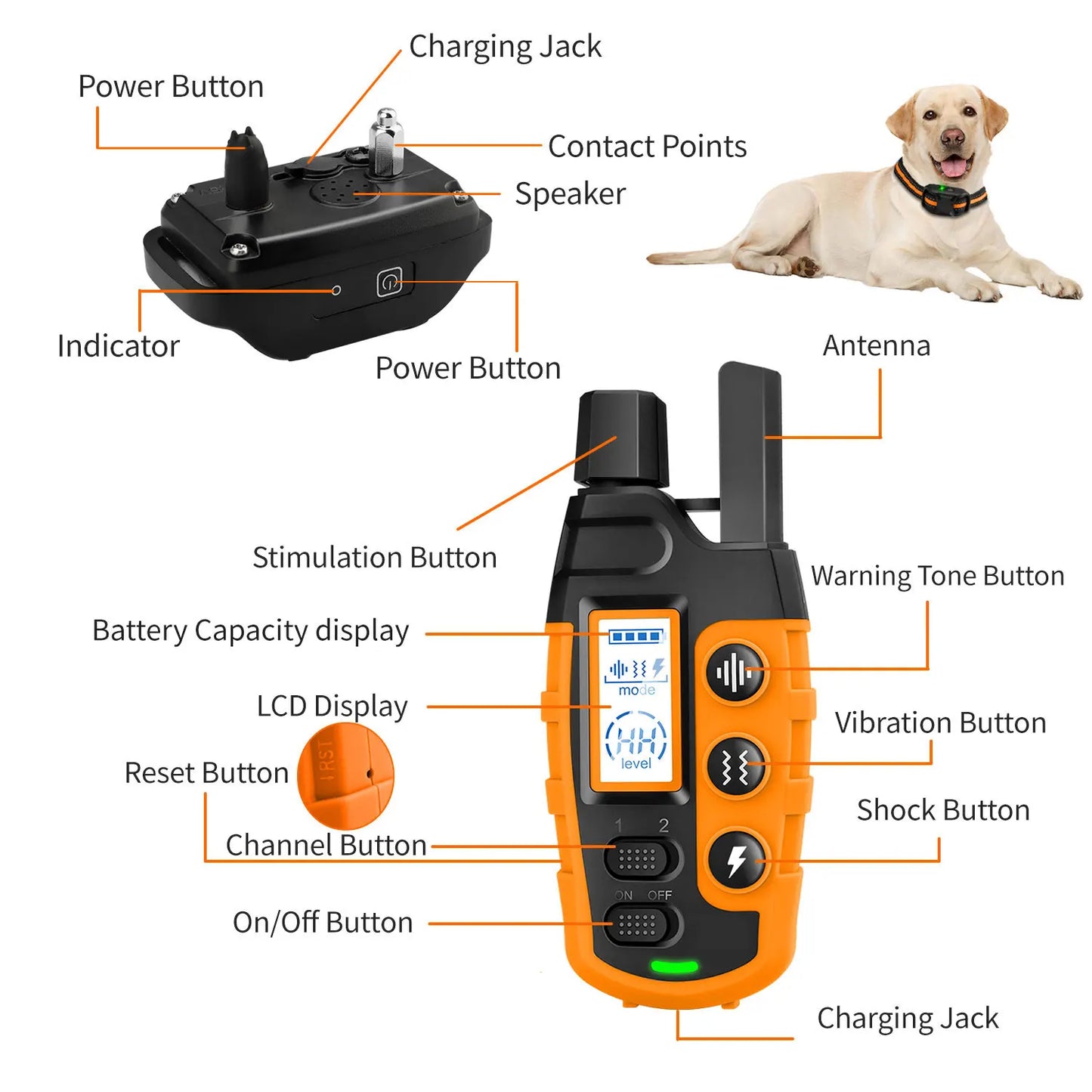 3300Ft Waterproof Electric Dog Training Collar with Remote Control for 5 to 120lbs Puppies Featuring Shock and Vibration