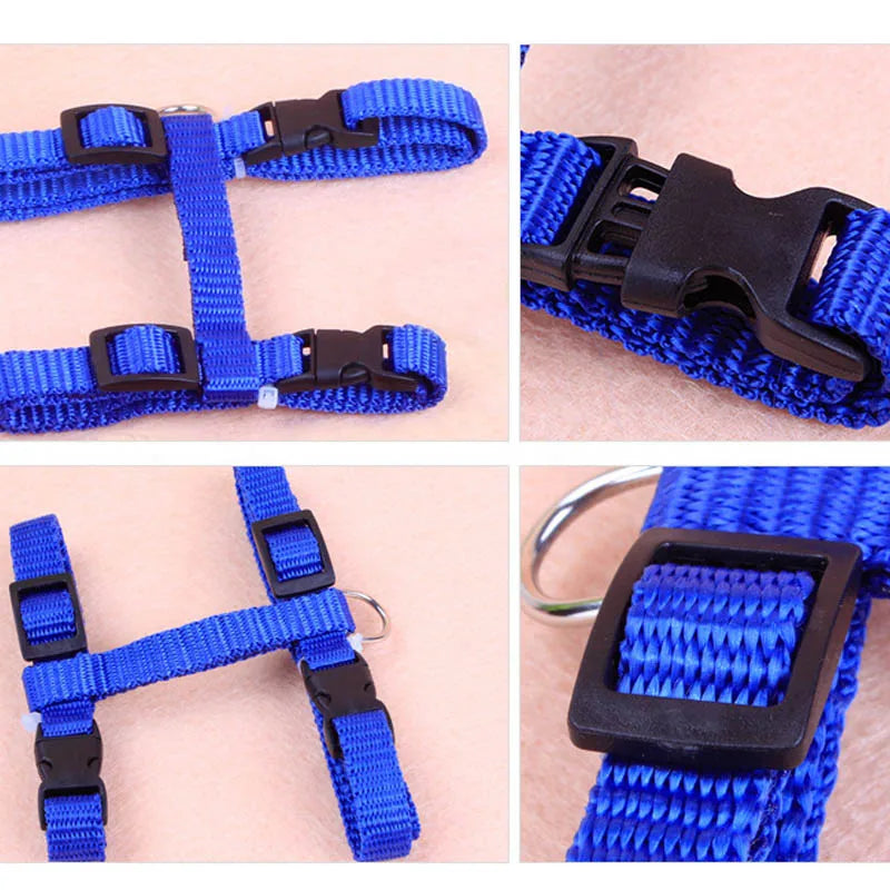 Cat Collar Harness Leash Adjustable Nylon Pet Traction Cat Kitten Dog Halter Collar gato Cats Products Pet Harness Belt