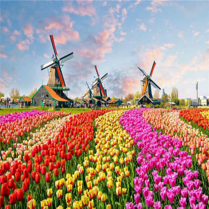 500 Pieces Jigsaw Puzzle Various Landscape Patterns Educational Toy for Kids Christmas Gift
