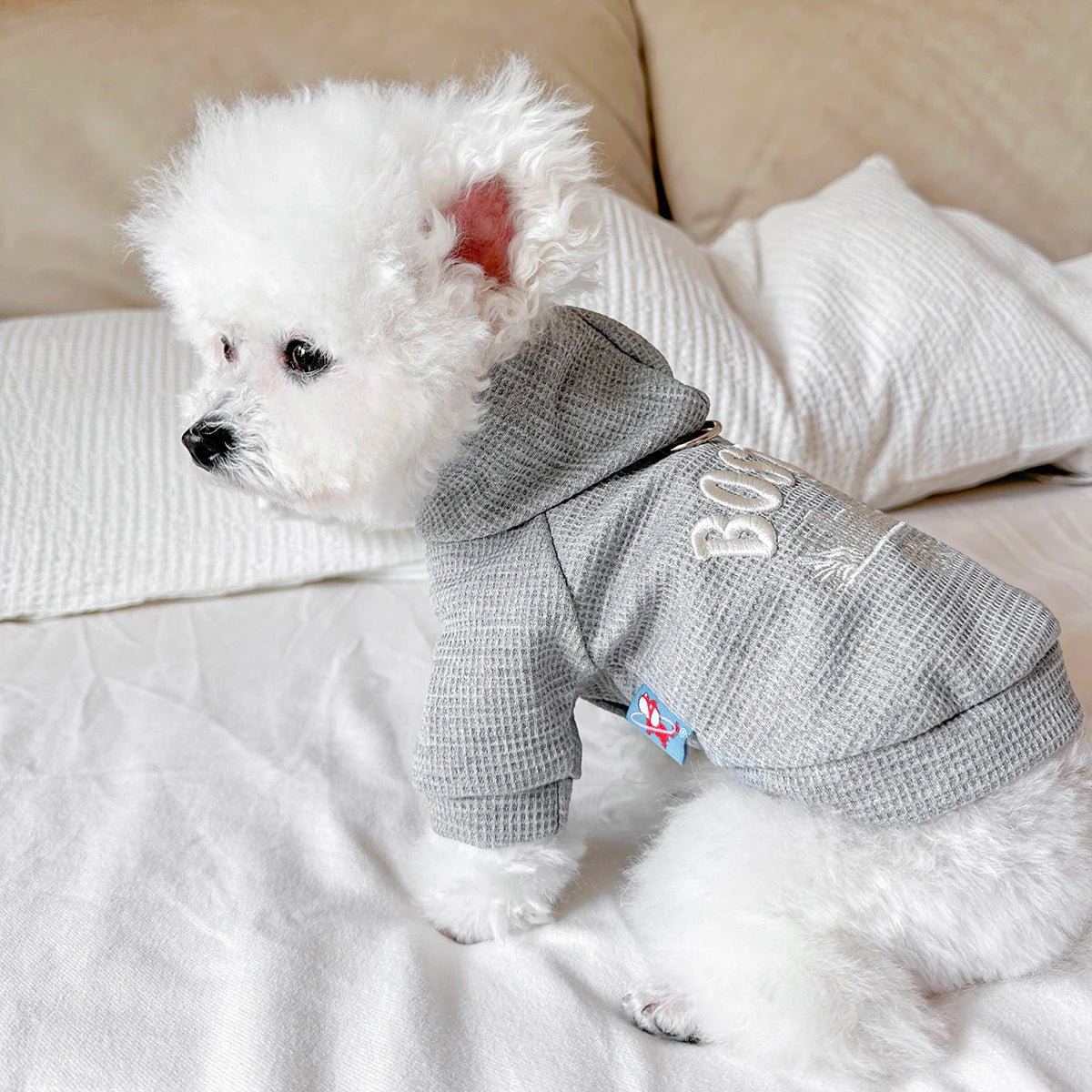 Pet Clothes Dog Cat Out Handsome Cute Casual Comfortable Spring Gray American Boston Sweater