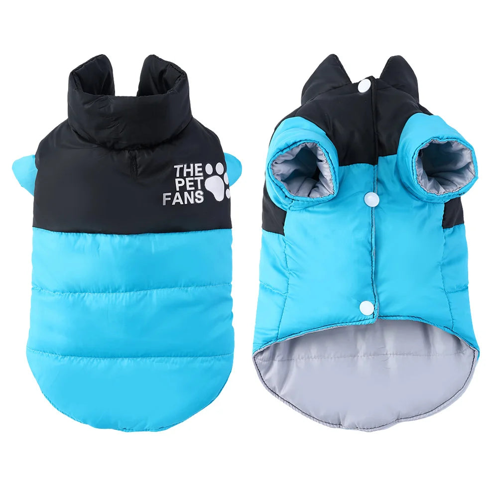 Autumn Winter Pet Cat Coat For Small Medium Cats Dogs Windproof Kitten Warm Clothes Sphynx Apparel Chihuahua Jacket Cat Outfits