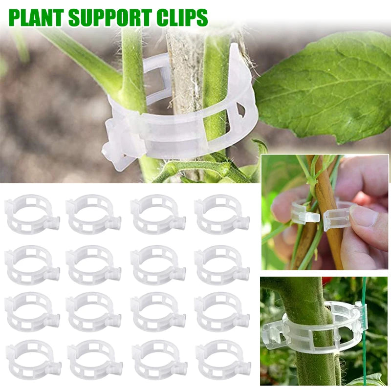 Clips para plantas Soportes de plástico reutilizables Conexiones Fijación de tallos de tomates en rama Injerto Plantas vegetales Herramientas para huertos y jardines