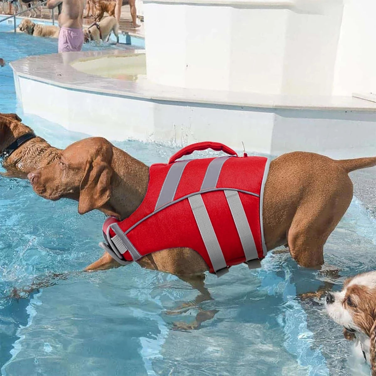 Ensure Your Dog's Water Adventures are Safe and Stylish: Premium Waterproof Dog Life Jacket with Reflective Stripes, Extra Stick