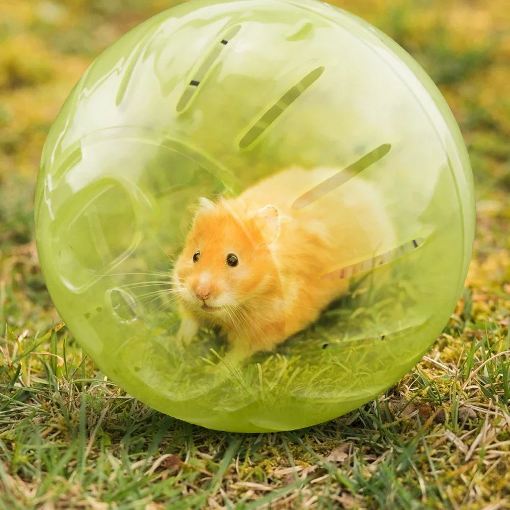 Clear Plastic Pet Rodent Mini Jogging Ball Hamster Exercise Running Ball Toys Small Animal Toy Play House Exercise Toy