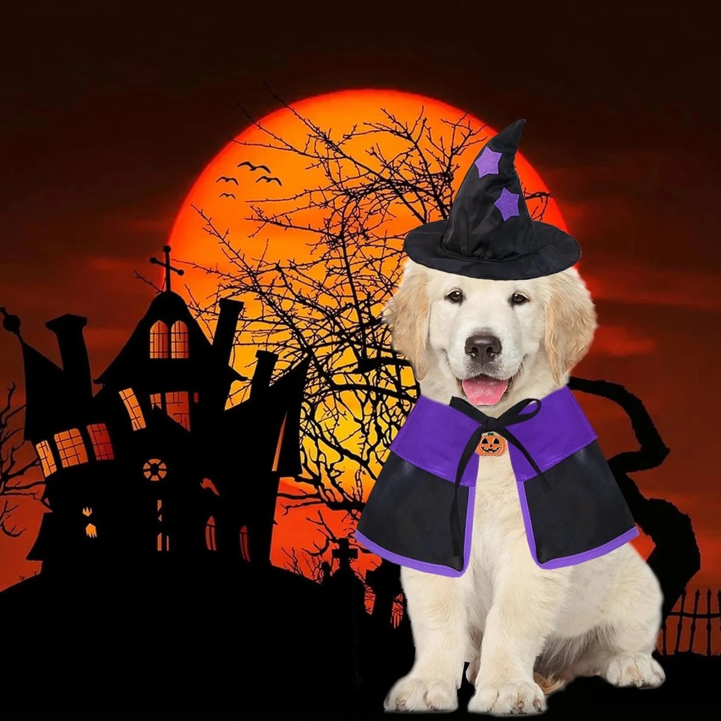 Dog Halloween Costumes, Dog Witch Costume Halloween Dog Witch Cloak Cape Wizard Hat for Small Medium Large Dogs Pets