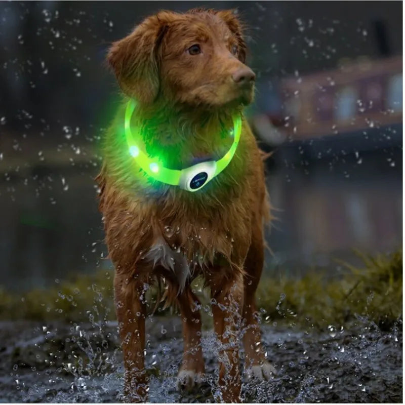 LED Luminous Dog Collar Waterproof USB Rechargeable Safety Light for Medium Large Small Dogs