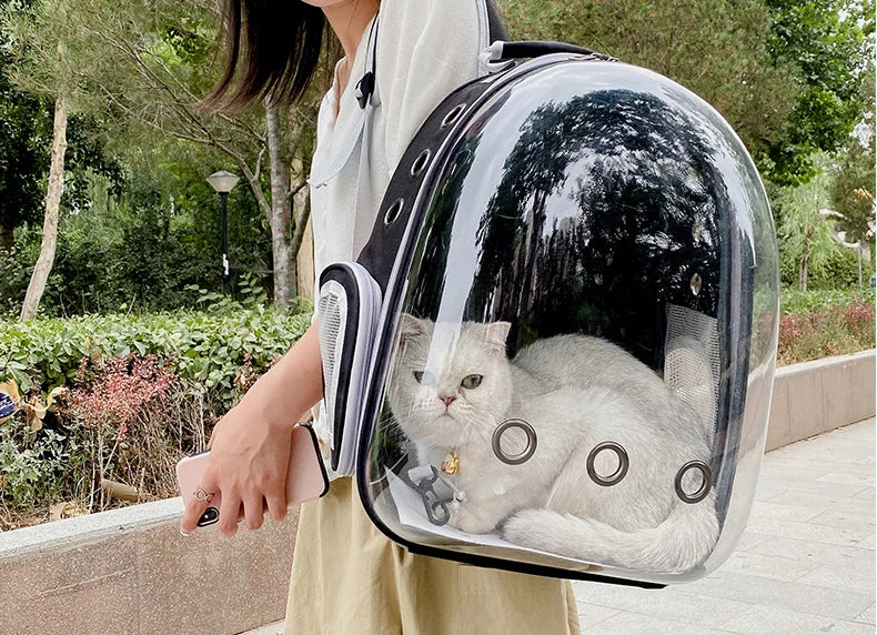 Breathable Transparent Pet Cat Carrying Bag Space Backpack