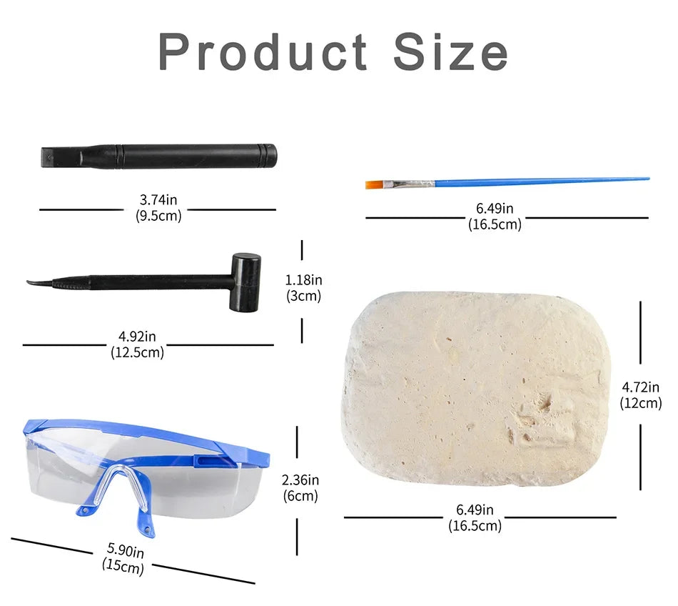 Dinosaur Fossil Excavation Kit for Kids Educational Archaeological Digging Adventure with Realistic Skeleton Models Perfect Gift for Boys and Girls