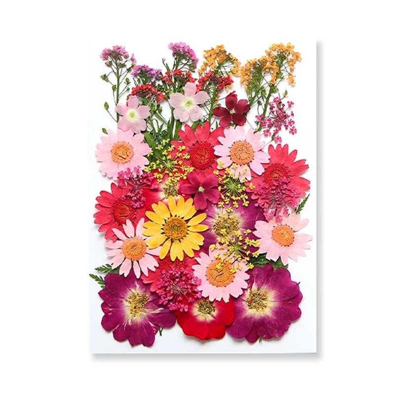 Dried Flowers Real Natural Plant Pressed Flower for Epoxy Resin DIY Keychain Pendant Jewelry Making