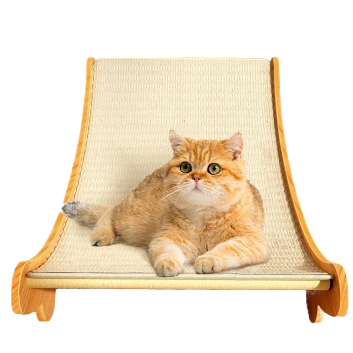 Wooden Cat Scratching Pads Multifunction Sleeping Bed Kitten Toys