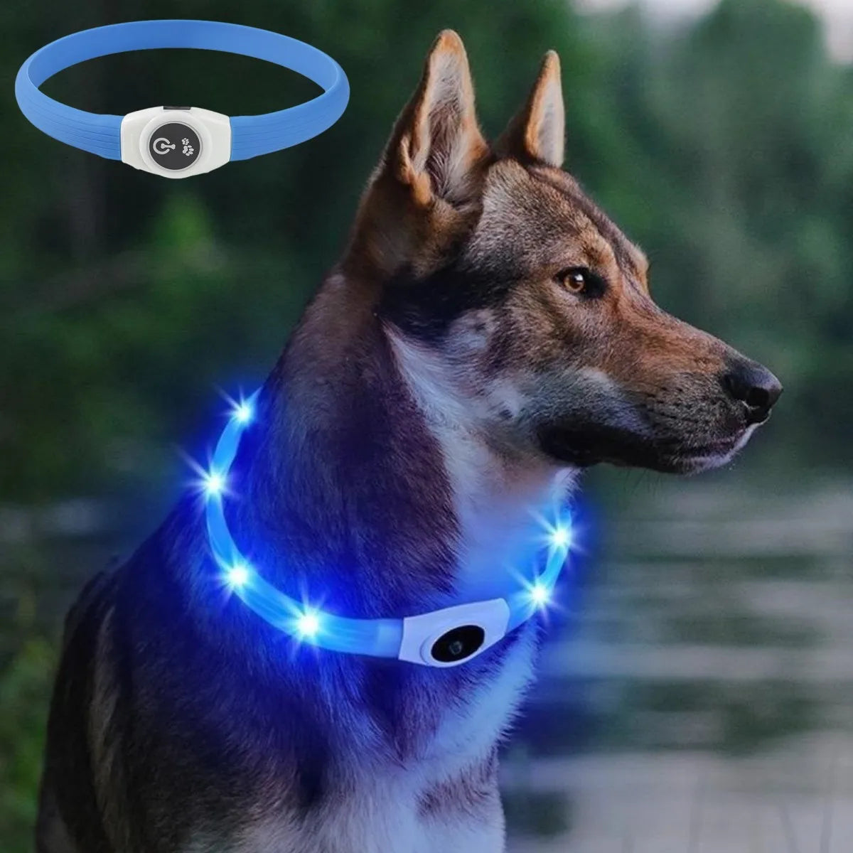 LED Luminous Dog Collar Waterproof USB Rechargeable Safety Light for Medium Large Small Dogs