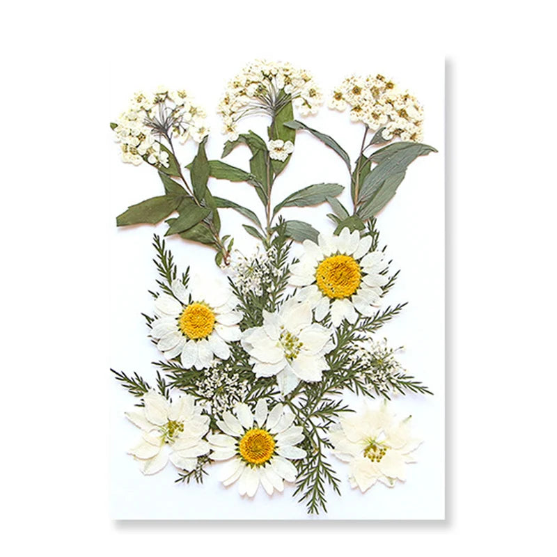 Dried Flowers Real Natural Plant Pressed Flower for Epoxy Resin DIY Keychain Pendant Jewelry Making